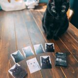 黒猫あわせ：黒猫愛が試されるボードゲーム紹介とレビュー
